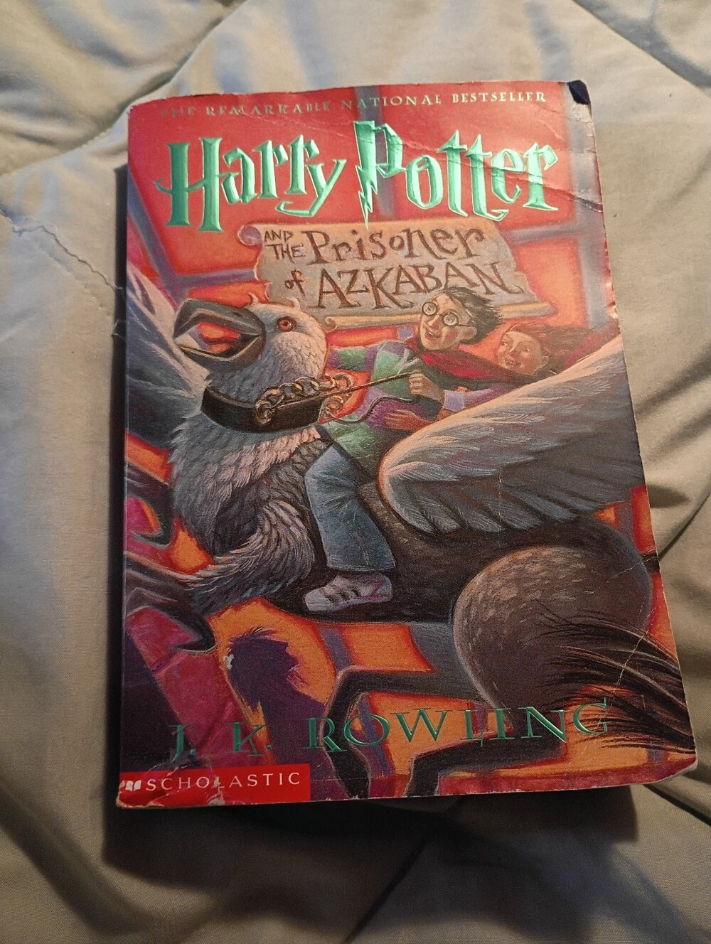 Scholastic Harry Potter Cover in Red and Teal